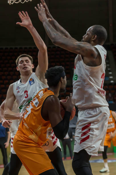 队员们在交 队员们在交